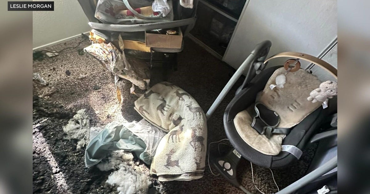 Citrus Heights baby nursery destroyed by firework, juveniles facing arson charges