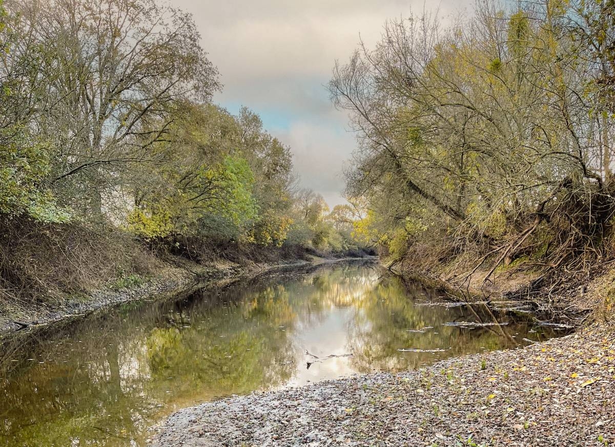 Johnson Cosumnes Mitigation Bank Approved in Sacramento County, California