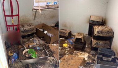 Monster arrested for animal cruelty after stomach-churning discovery at California home