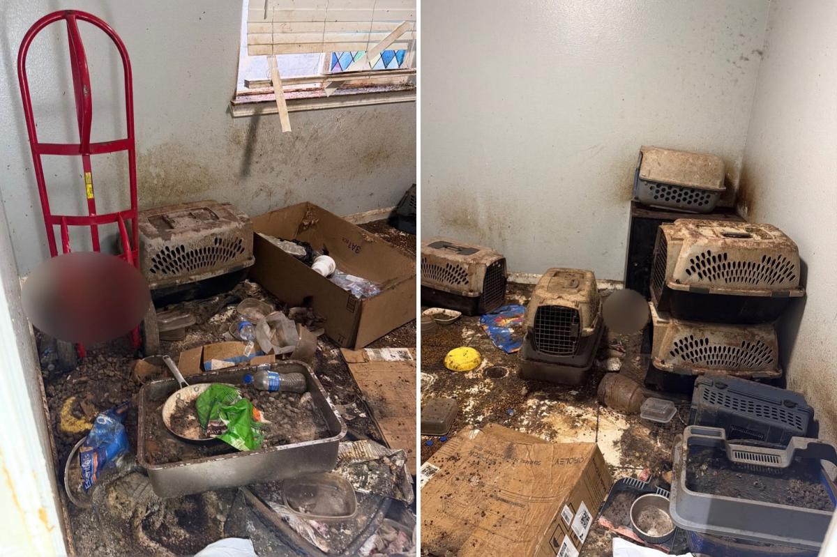 Monster arrested for animal cruelty after stomach-churning discovery at California home