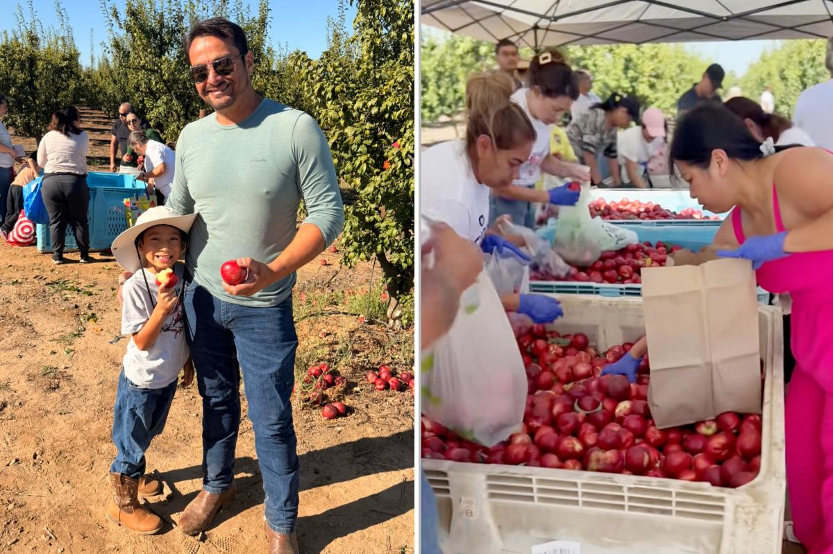 California fruit farmer reveals results of his massive nectarine giveaway: 'Something none of us could have predicted'