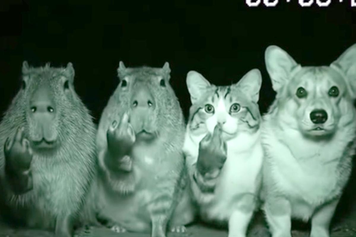 AI-doctored image of a mountain lion causes scare in Sacramento neighborhood