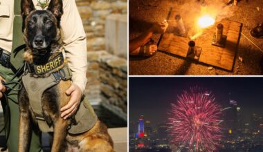 K-9 dies after being hit by car when illegal fireworks erupted in California