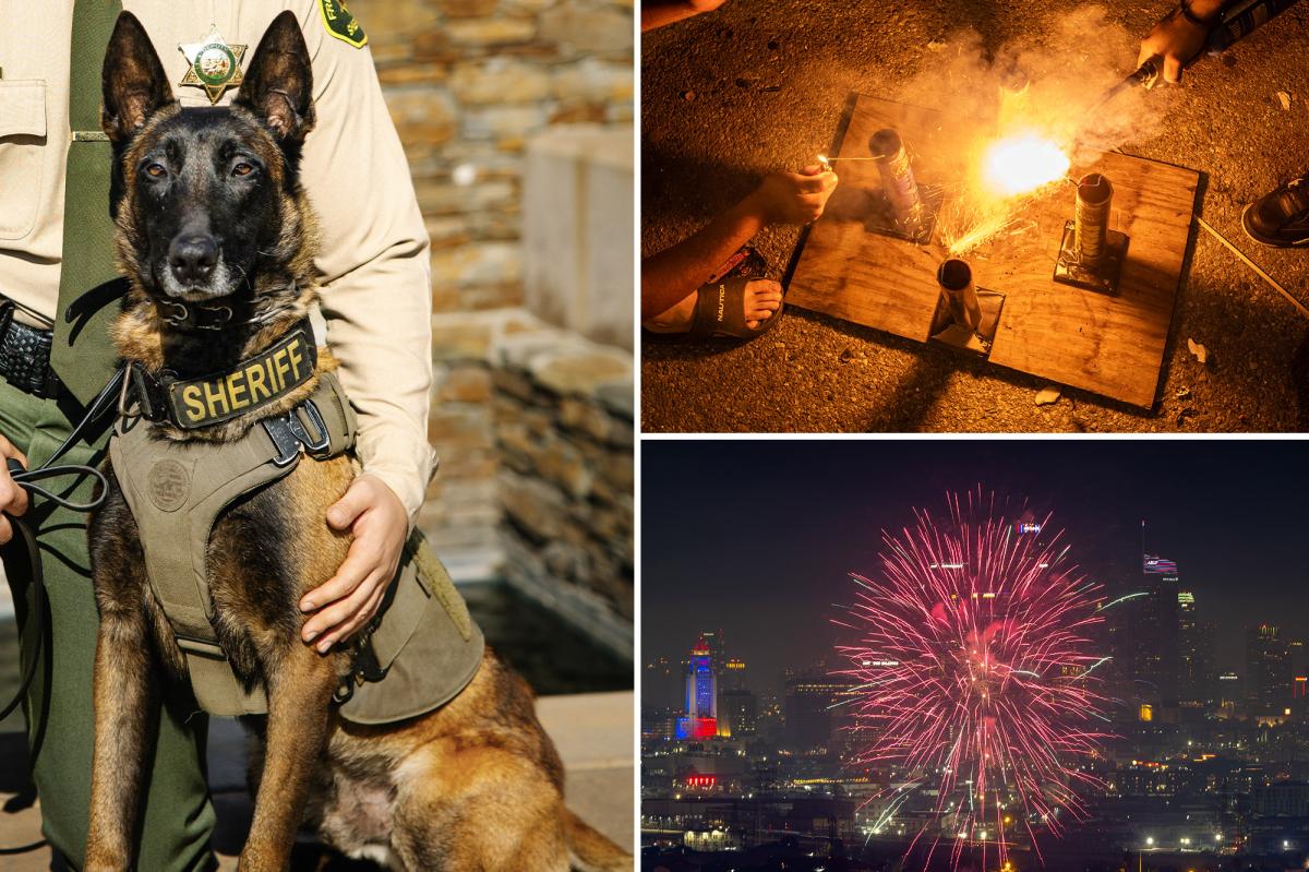 K-9 dies after being hit by car when illegal fireworks erupted in California