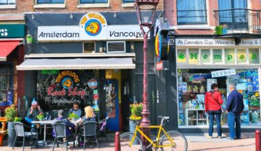 California city votes to allow Amsterdam-style cannabis cafes