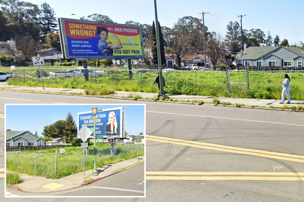 California lot worth $900k sells for $10 but there’s a catch