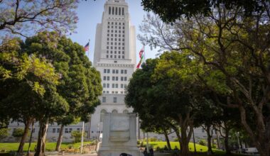 Man jumps to his death off LA City Hall