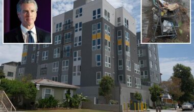 Gavin Newsom's Homekey program put homeless housing in nice LA neighborhoods