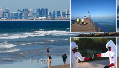 Popular California beach closed after recording high bacteria levels