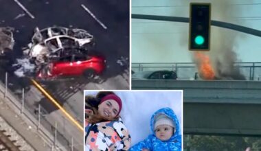 Silicon Valley boss charged for 145mph crash that killed mom and daughter