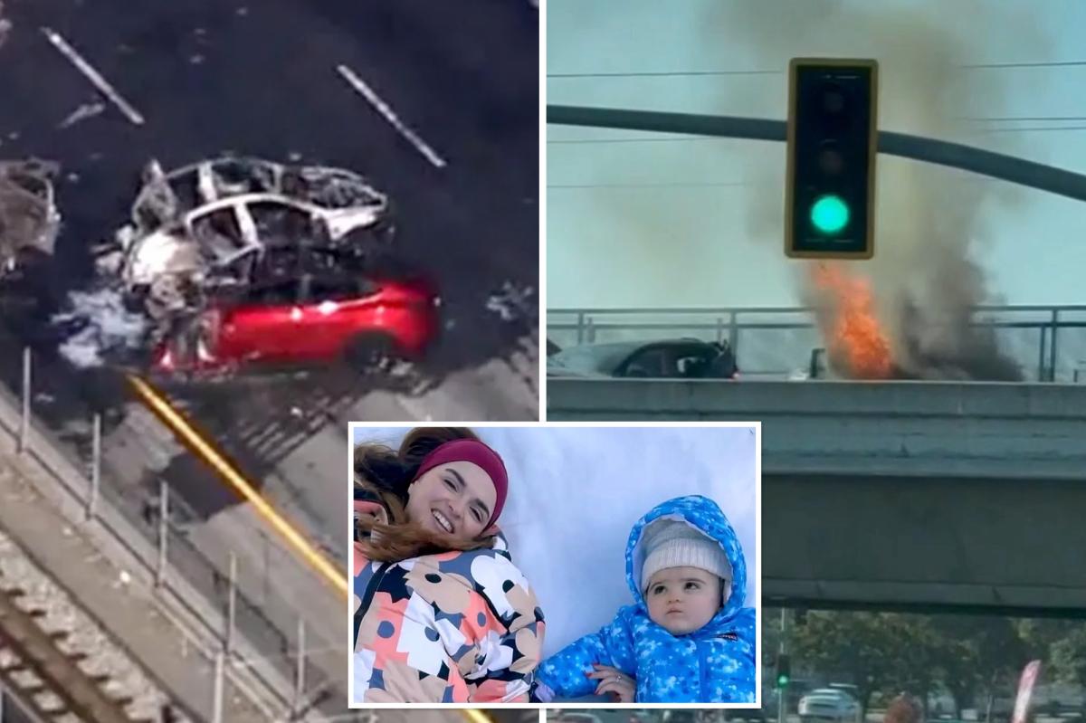Silicon Valley boss charged for 145mph crash that killed mom and daughter