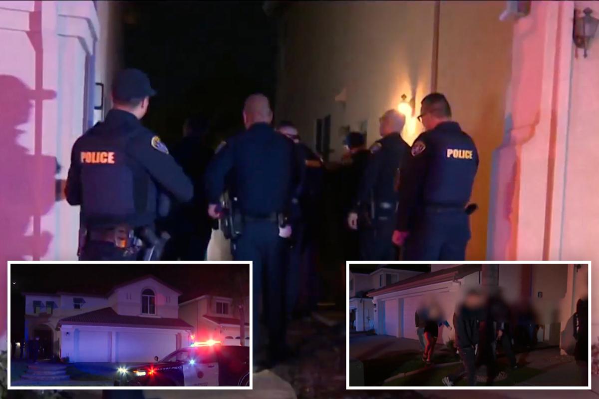 Wild teen parties spark panic in San Diego as mansions broken into and destroyed in insane videos