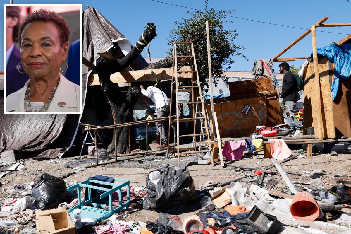 Oakland wants to pay homeless to clean up their own encampments