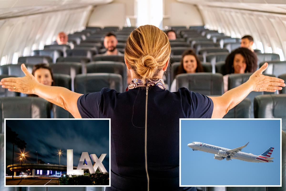 American Airlines’ New flight attendant tracking system sparks surveillance concerns