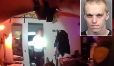 San Francisco kitten torture suspect caught in Nevada