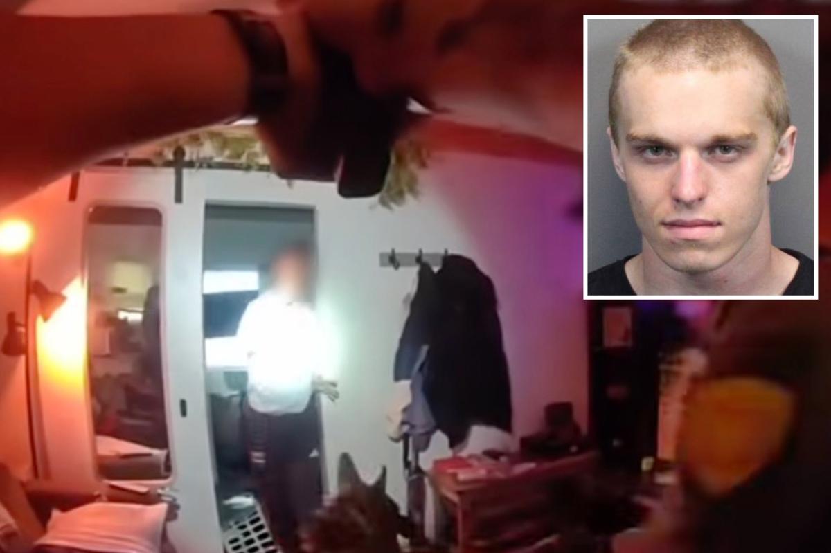 San Francisco kitten torture suspect caught in Nevada