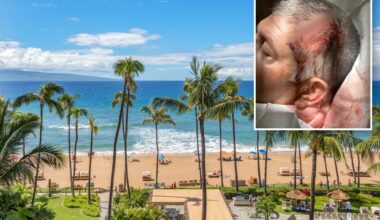 California family left in a pool of blood after horrific 'anti-white' attack at exclusive Hawaii resort