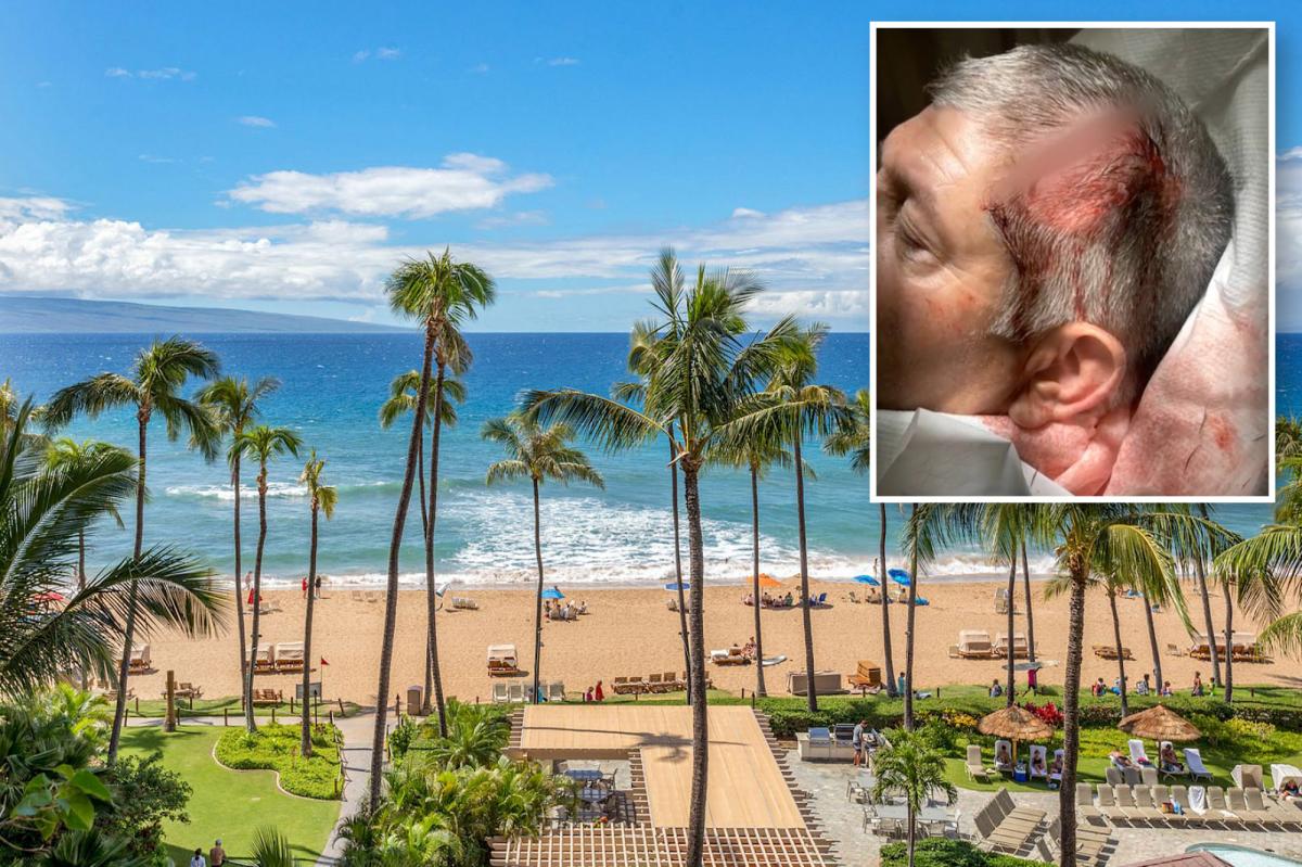 California family left in a pool of blood after horrific 'anti-white' attack at exclusive Hawaii resort