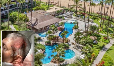 3 teen boys arrested in bloody 'anti-white' attack on California family at Hawaii resort