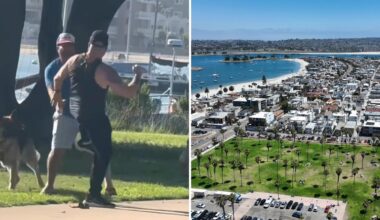 Two men and their dogs brawl at Mission Beach in San Diego