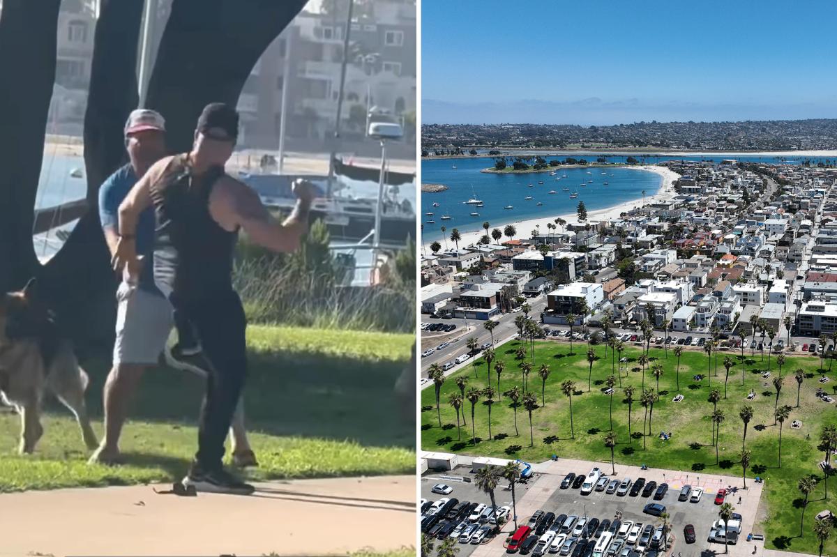 Two men and their dogs brawl at Mission Beach in San Diego