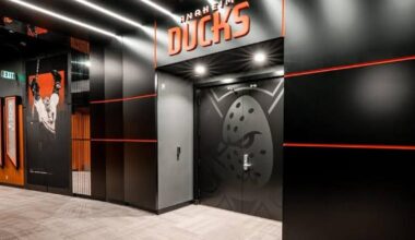 The real reason everything Is falling apart in Anaheim has been exposed