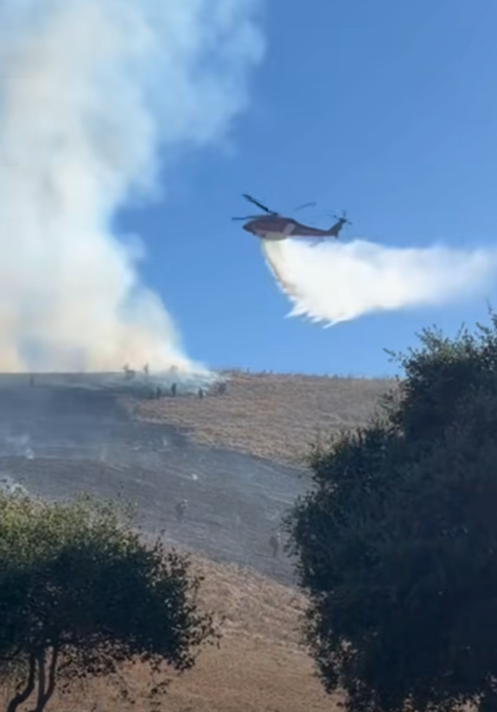 Reality Star Says Son Helped Spark Brush Fire in California