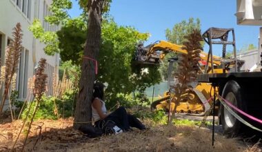 Students Chain Themselves to Trees in California Protest