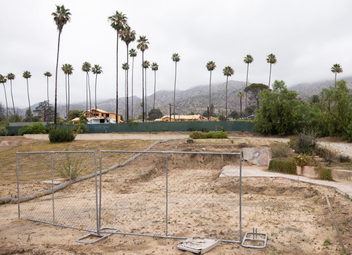An empty lot with palm trees and mountainsin the background.