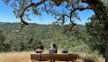 Last minute camping in the Bay Area: Where to go