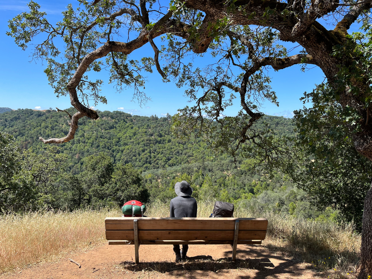 Last minute camping in the Bay Area: Where to go
