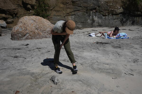 Marine ornithologist Tammy Russell, left, looks at a dead seabird near a beach goer during a survey along Blacks Beach on Wednesday, May 6, 2026, in San Diego. (AP Photo/Gregory Bull)