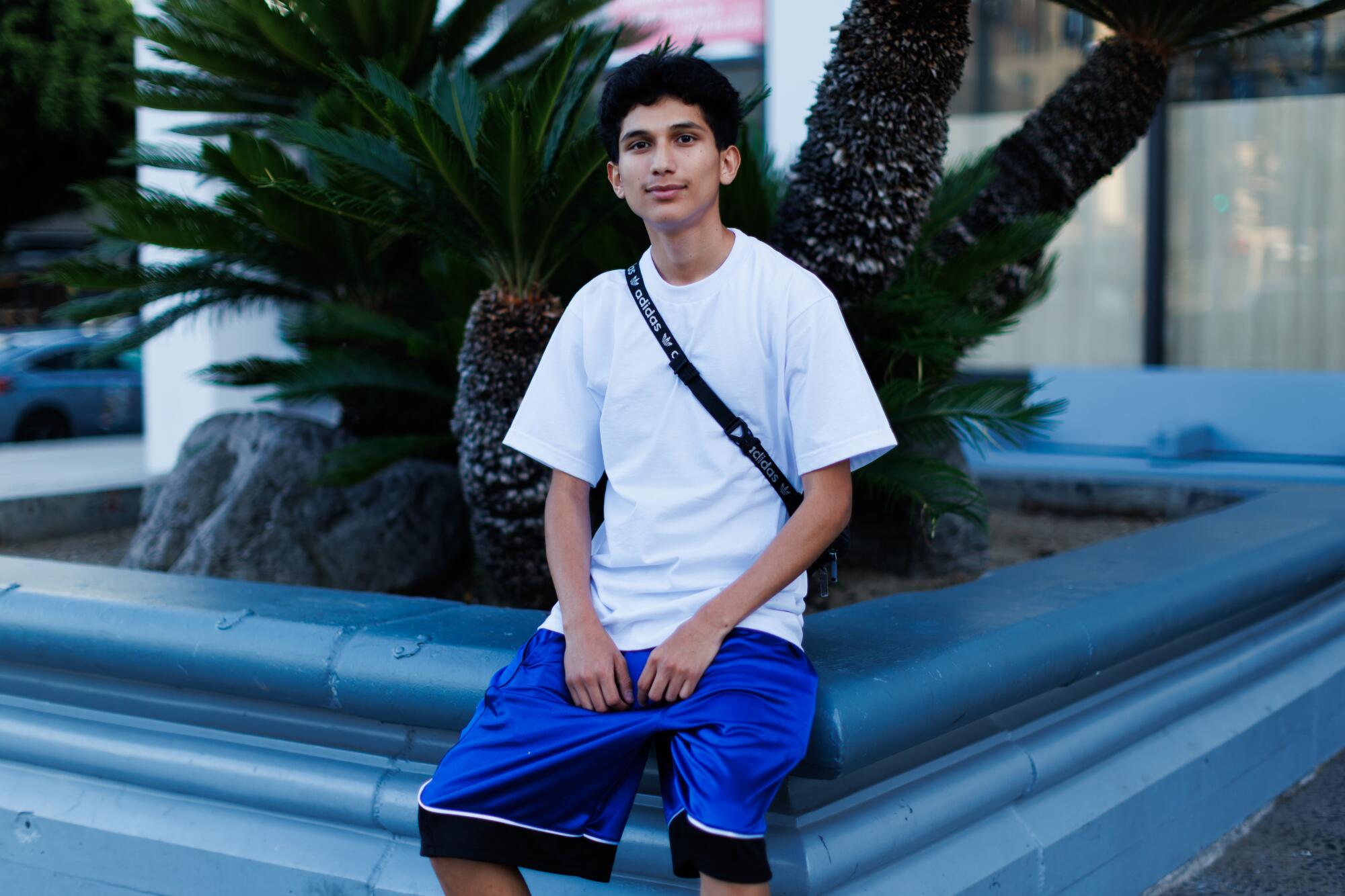 A person standing in front of a tree in Little Tokyo.