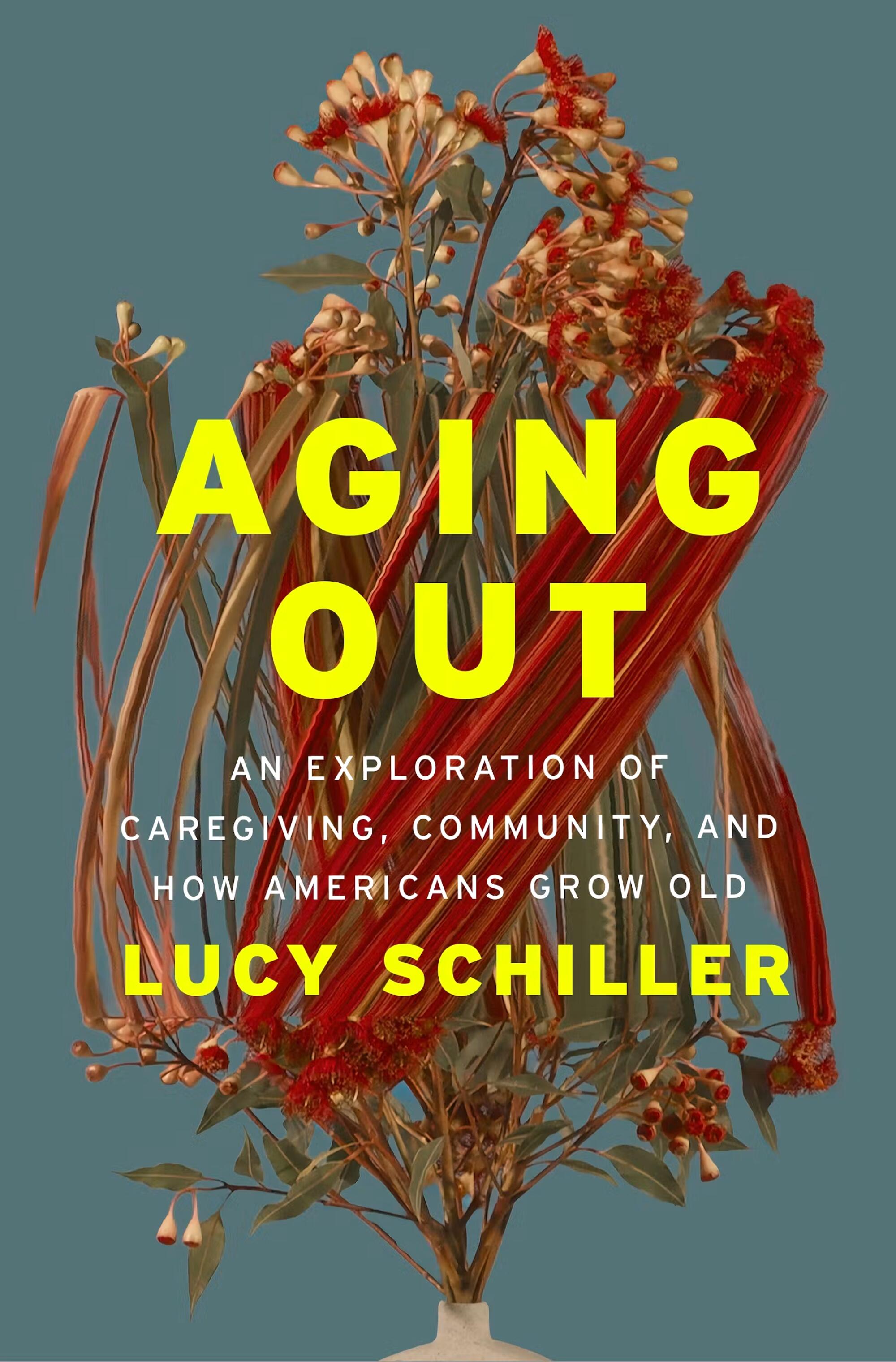 AGING OUT by Lucy Schiller
