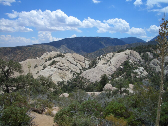 Los Padres National Forest