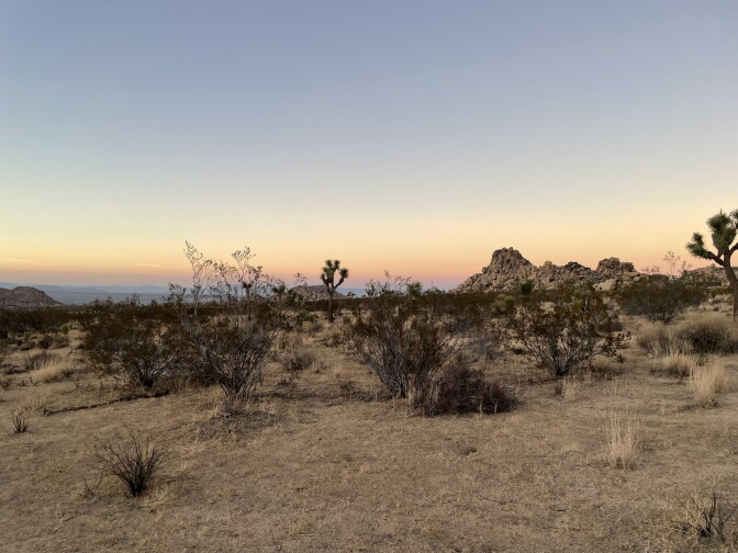 A picture of Joshua Tree National Park at sunset.