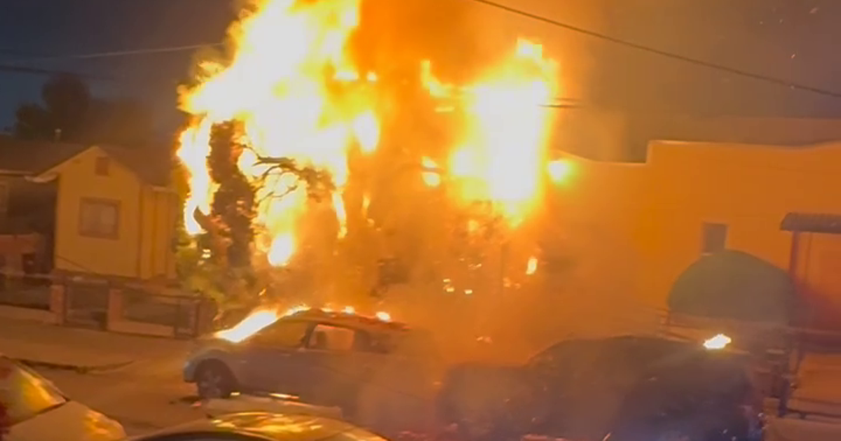 Illegal 4th of July fireworks ignite fire, damage vehicles and tree in Oakland