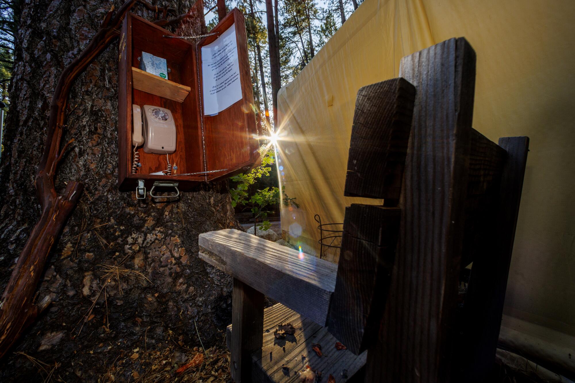 A homemade wooden bench faces a wind phone on the backside of a tree.