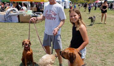 Things to do include concerts, golf benefits, dance shows, dog events and more – San Diego Union-Tribune