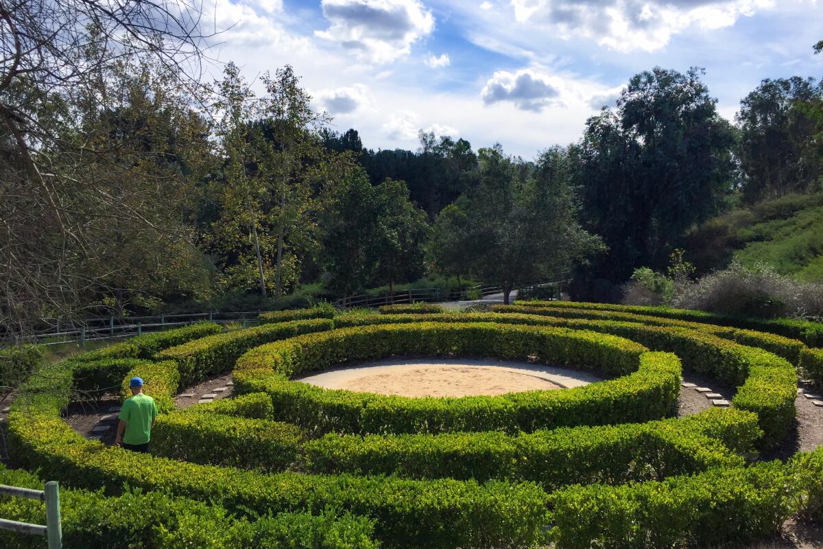 Oso Viejo Community Park in Mission Viejo is the venue for BBQ Music Fest, which is taking place this weekend.