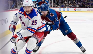 San Jose Sharks sign ex-New York Rangers defenseman Libor Hajek