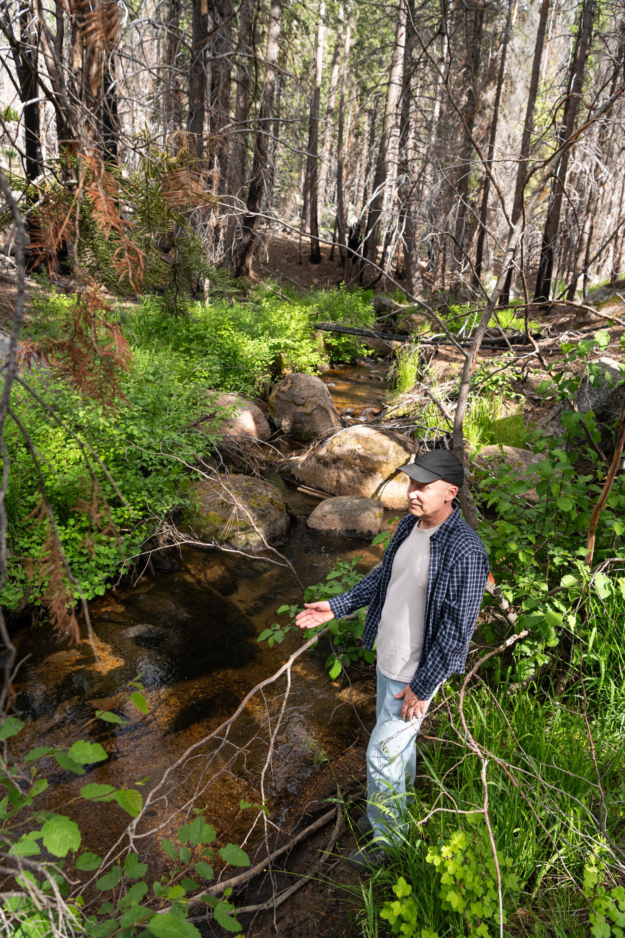 Reid Reichardt stands next to Saxon Creek in the Caldor fire burn scar area near South Lake Tahoe.