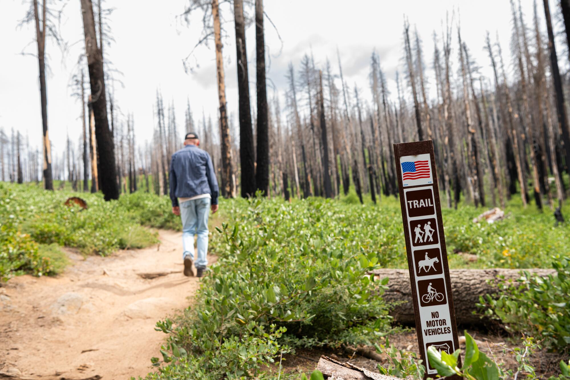 Reid Reichardt hikes up a famous mountain bike trail called Toad's Wild Ride