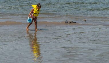 Essential river safety tips for Sacramento swimmers