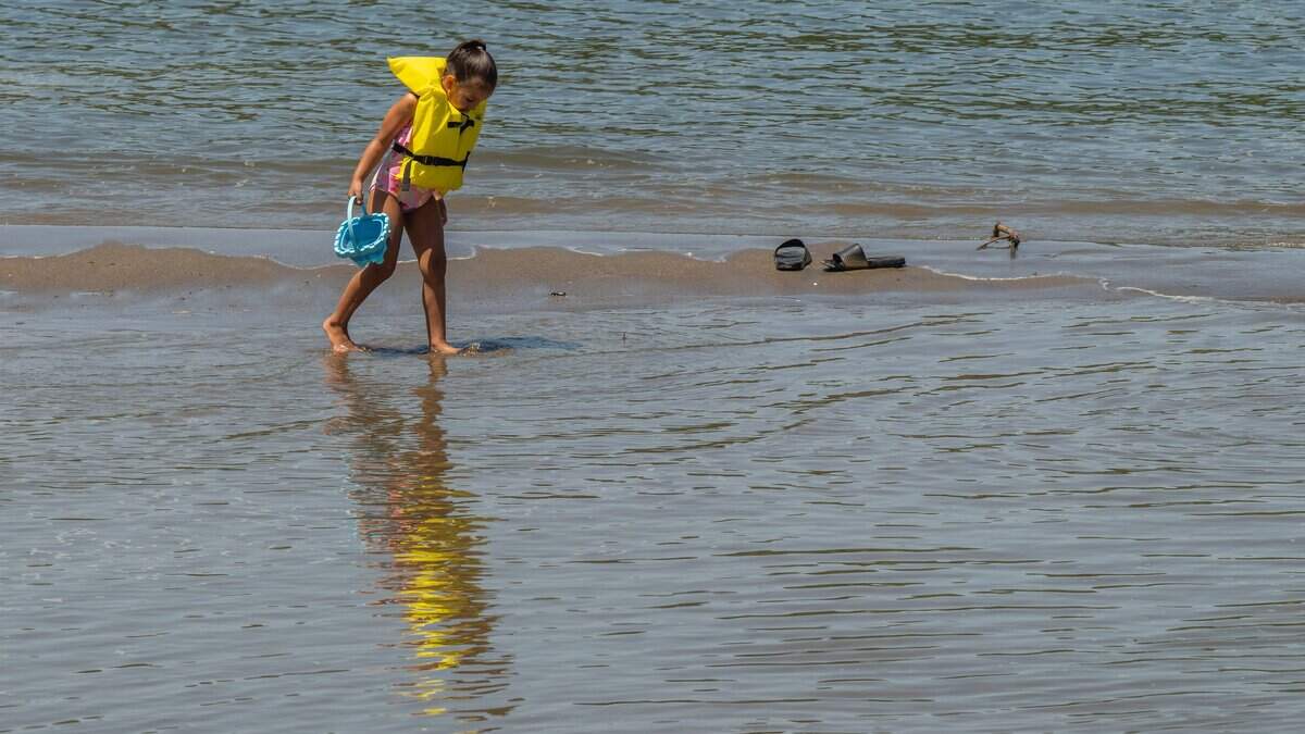 Essential river safety tips for Sacramento swimmers