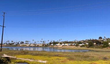 Beat the heat with an energizing walk along the Famosa Slough – San Diego Union-Tribune