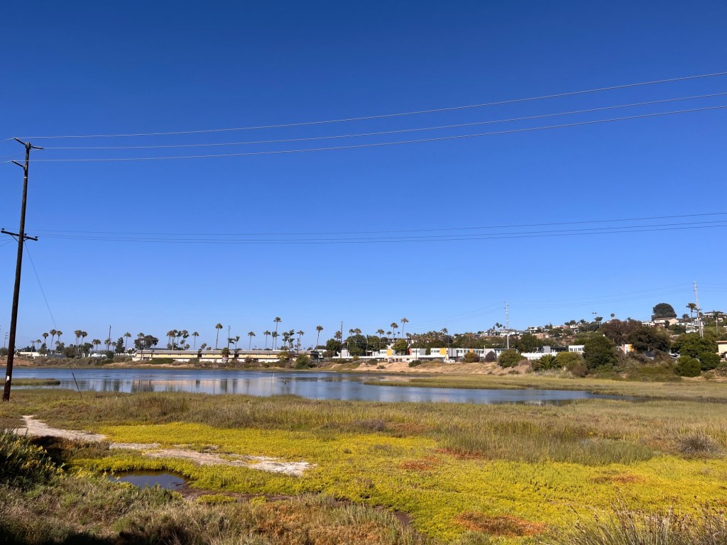 Beat the heat with an energizing walk along the Famosa Slough – San Diego Union-Tribune