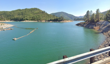 Another death at Shasta Lake: Oakland man goes missing while swimming – East Bay Times