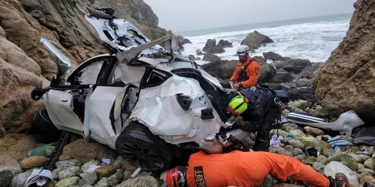 Charges against California dad who drove family off cliff dropped after mental health treatment