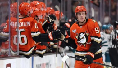 Series: Anaheim Ducks Offseason Recap